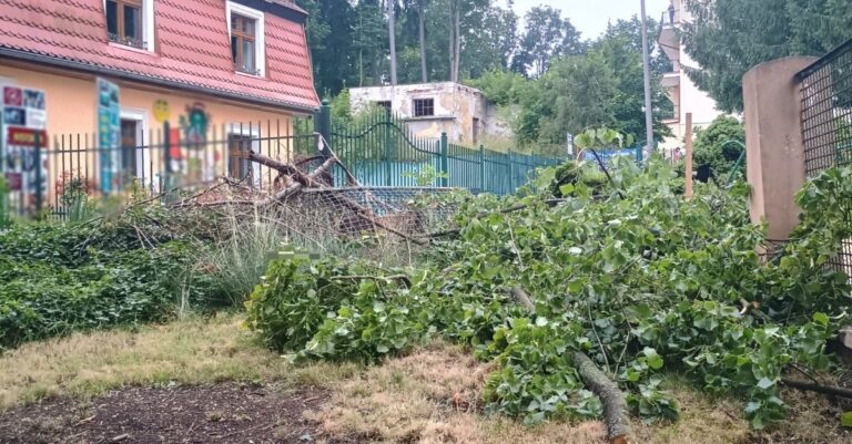 Szybka akcja OSP w Kudowie przy Muzeum - Paragraf
