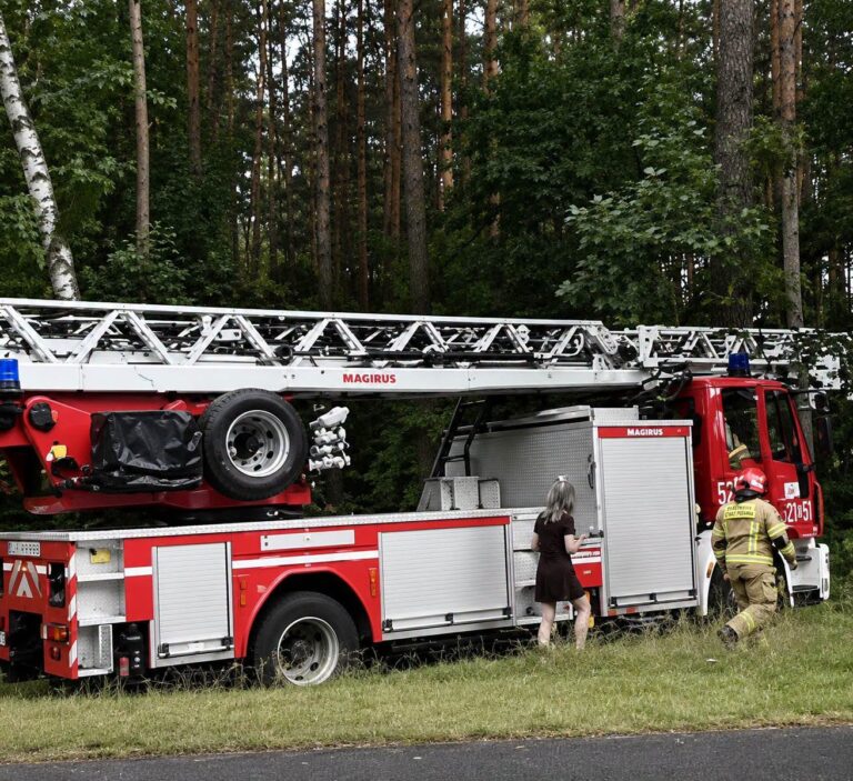 Czerwony wóz strażacki z drabiną stojący na poboczu przy lesie, obok kobieta i strażak w mundurze.