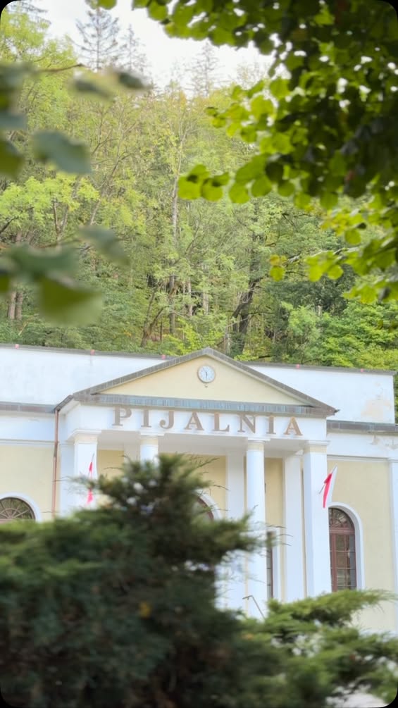 Prestiżowy festiwal muzyczny w Dusznikach-Zdroju - Duszniki-Zdrój